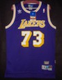 /album/los-angeles-lakers/a35-rodman-73-purple-retro-swingman-jpg/